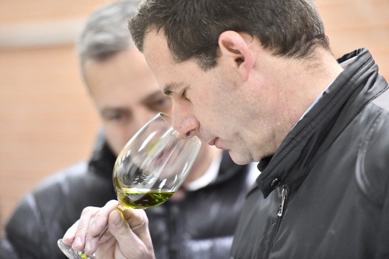 Cata dels olis presentats